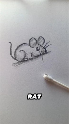 How to Draw a Rat (Easy Tutorial) #foryou #art #shorts #howtodraw #easydrawing #tutorial #satisfying