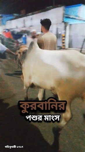 কসাইকে অর্থ প্রদান করুন মাংস নয় ‪@convert_to_true‬