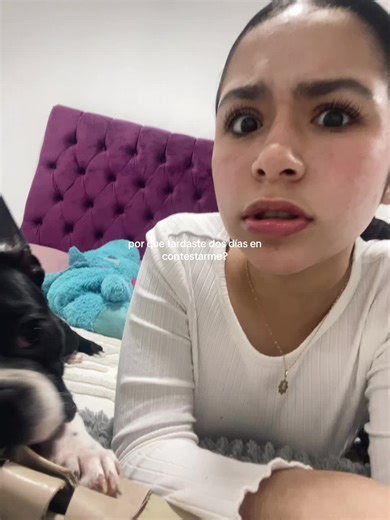 Respuesta a Tu Mensaje: ¿Por Qué Tardas Tanto?