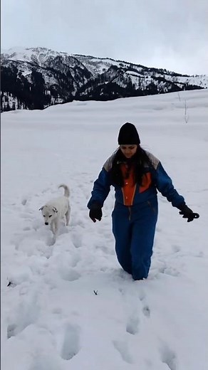 Unforgettable Manali–Shimla Moments 😍❄️ | Dream Trip Vibes✨”