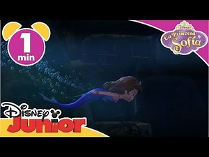 La Princesa Sofía: La Semana de las Princesas | Disney Junior Oficial
