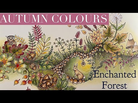 Down the Rabbit Hole | Adult Colouring | Polychromos 120 | Enchanted Forest Johanna Basford