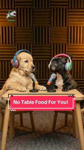 The Unbreakable Dinner Rule for Disobedient Dogs