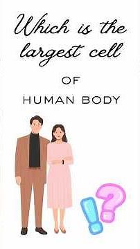 Largest cell of human body #biology
