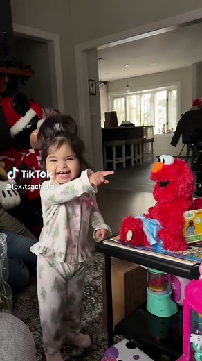 Elmo's Best Friend Tango: A Sesame Street Adventure