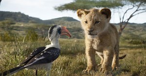 未来の王、シンバよ…『ライオン・キング』日本版予告編公開｜シネマトゥデイ