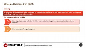 6 reasons why Strategic Business Units are Important | Marketing91