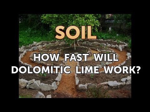 How Fast Will Dolomitic Lime Work?