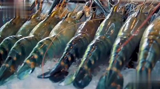 world's largest freshwater shrimp with a body length of up to 60 cm ! #shrimp #seafood #bbq #yummy