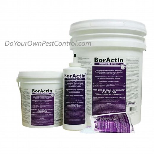 Boractin Insecticide Powder