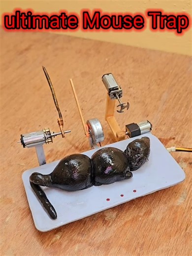 crazy mouse trap wait for end 🔥