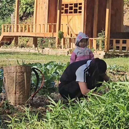 1.9K views · 46 reactions | The single mother's garden has been harvested with bunches of fresh vegetables 001 | Single Mom Mother life | Facebook