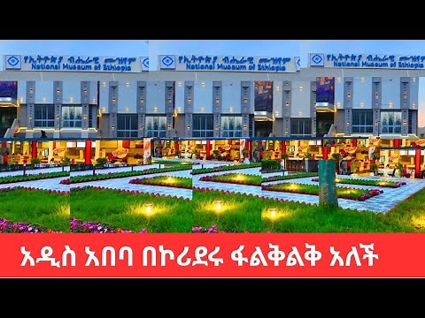 Ethiopia Rising 🇪🇹 Inside Addis Ababa's Luxury City Vision | 4K Tour 2025