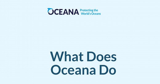 What Does Oceana Do | Oceana