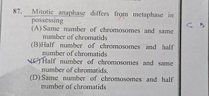 Mitotic anaphase differs from metaphase in possessing(A) Same ... | Filo