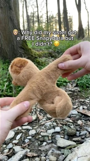 His sister got a FREE Snapybara 😬😕