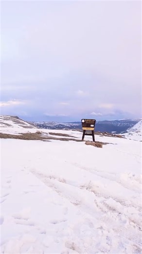 Beartooth Pass via VW