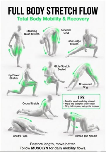 बिना जिम जाए बॉडी कैसे बनाएं? 💪 Full Body Home Workout Chart #workoutroutine #workouttutorial #sidep