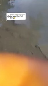 6.2K views · 40 reactions | Fuhh lain macam umpan Pak Long   ams17.0 | Media Asia | Facebook