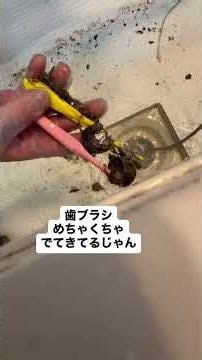 築10年のお家をプロ清掃｜ご予約は8月・9月になる場合もあります#ハウスクリーニング #掃除業者 #プロ清掃 #築10年 #暮らしを整える #掃除術 #お掃除記録 #shorts #diy