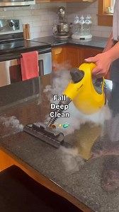 5.5K views · 330 reactions |  Fall essentials: pumpkin spice, cozy blankets, & a chemical-free clean ✨ | Wagner Painting | Facebook