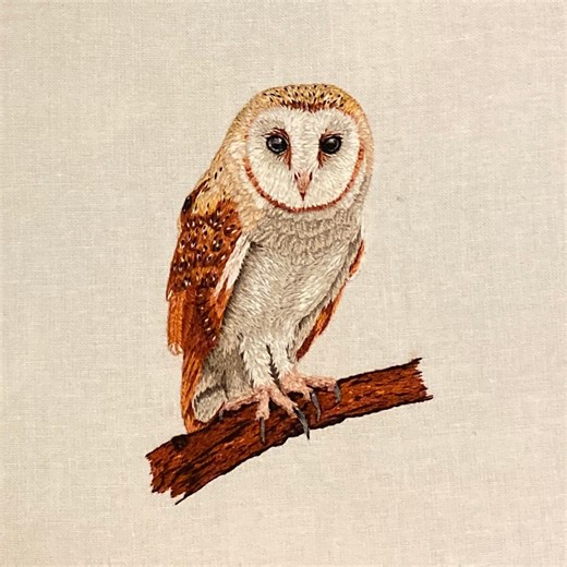 Barn Owl Complete Embroidery Kit | Wildlife Embroidery Kit | English Wildlife Owl Sewing Kit | Wild Bird Embroidery - Etsy