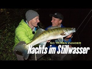 How zander tick: At night in still water