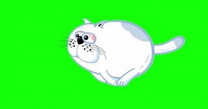 Cartoon White Fat Cat Run Big Stock Footage Video (100% Royalty-free) 1108825303 | Shutterstock