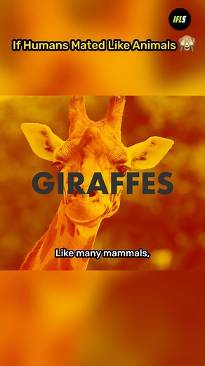 Full video on our YouTube! | IFLScience