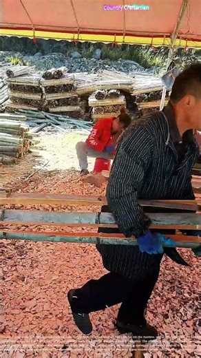 Bamboo Slicing with Bamboo Chipper: Transforming Bamboo into Useful Materials