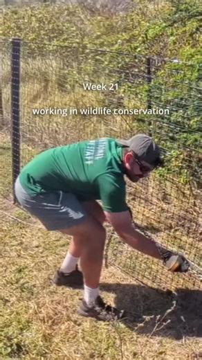 Jake | Wildlife Photographer on Instagram: "Week 21! Another week of fencing for a few birds sprinkled in! Also if you have a problem with socks and sandals then this vlog probably isn’t for you 😬 #conservation #wildlife #nature #carribean #sinteustatius"