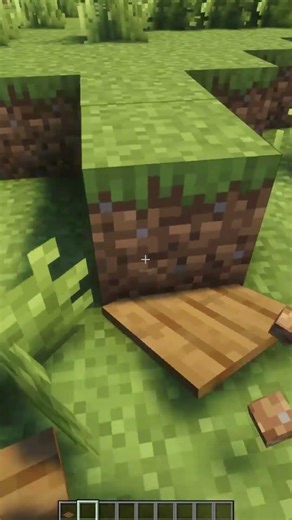 Spruce Pressure Plate Physics in Minecraft