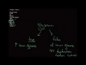 10-minute Rounds: Understanding the Urinalysis