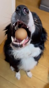 757K views · 10K reactions | Egg challenge...Part 1! | TeamCasp47 | Facebook