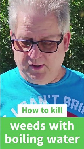 How to Kill Weeds Naturally with Boiling Water