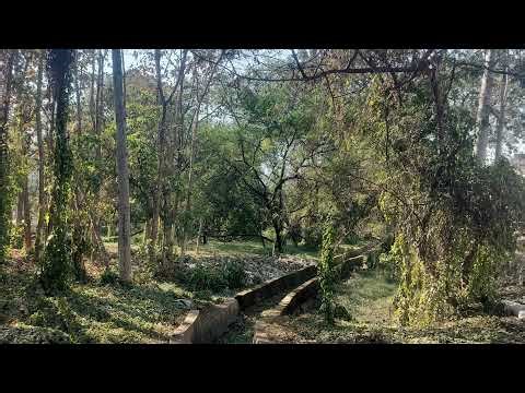 minecraft #youtubeshorts #2024 #youtubevideos #live #love #gaming #bhole #motivational #mrindianhack