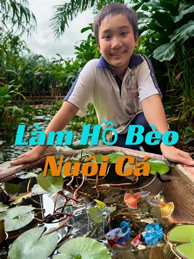 Cách Chăm Sóc Cá Betta Đẹp Nhất