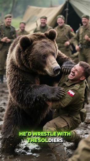 Panda is a gentle, adorable, and rare animal known for its soft black-and-white fur