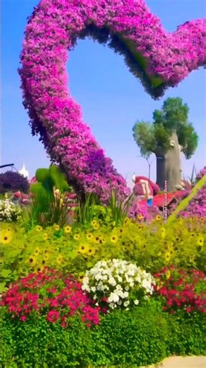 Beautiful Dubai flower Park #nature #rosecaring #flowers #rose #love #parkour #sadabaharflower #1m