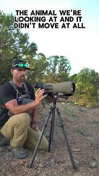 Angled or straight spotter, which do you use? #rhr