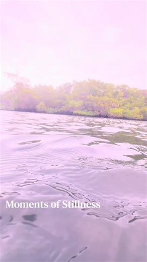 I didn’t expect this moment in the Galapogos 🇪🇨 #nature #stingrays #diving #islands #galapogos