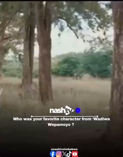 NashTv on Instagram: "Wadiwa Wepamoyo was truly one of the best dramas produced. Who was your favorite actor or actress in the series?"