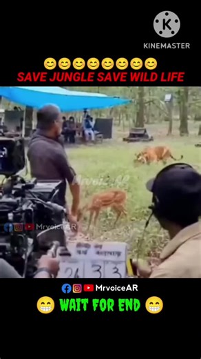 The Lion King: A Comedic Twist!