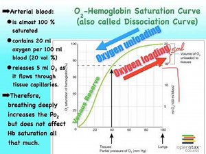 05Q Respiratory O2 Transport and Hb Sat Curve