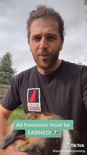 Say It Once Dog Training on TikTok