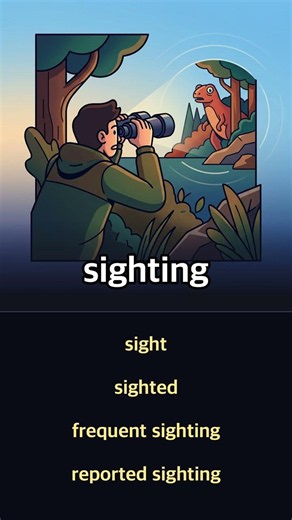 sighting