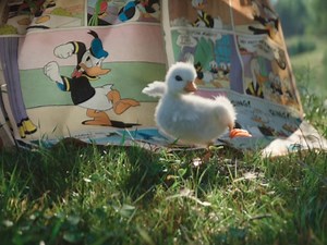 Disneyland Goes For The Heartstrings With New Ad [Video]