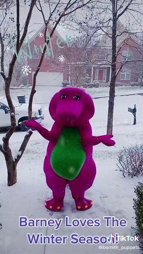 Barney's First Snow Adventure