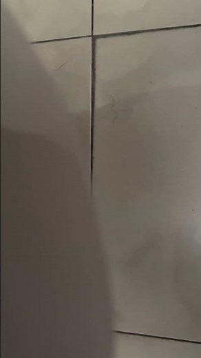 쾌변한 똥 #여자 #똥