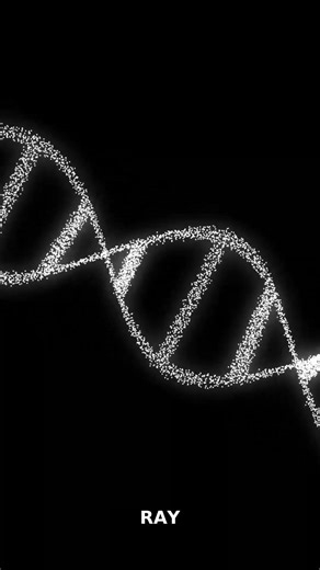 In 1953, James Watson and Francis Crick discovered the double helix structure of DNA. However, their
